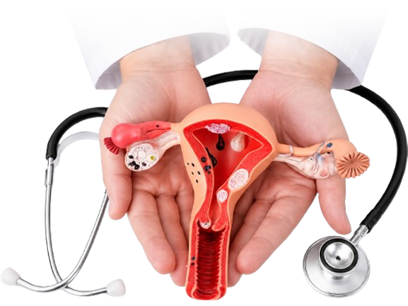 Homoeopathic Infertility Treatment